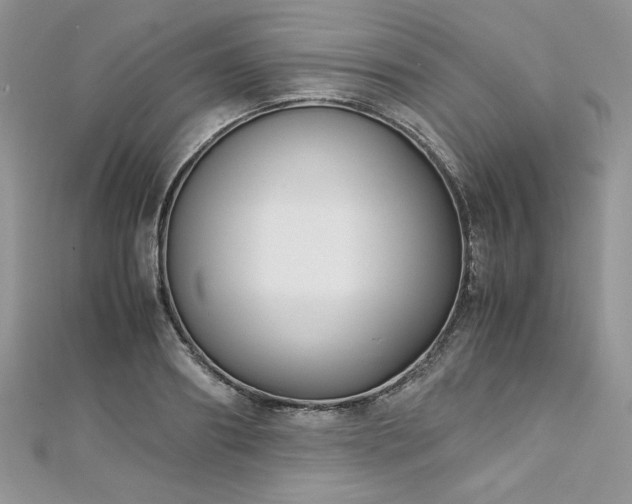 X0000113140890200909041206