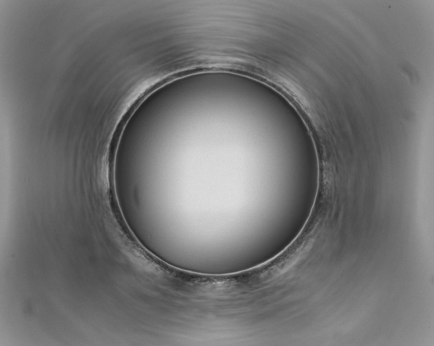 X0000113140891200909041206