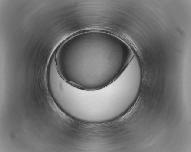 X0000113140892200909041206