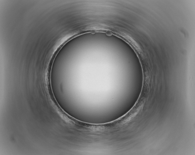 X0000113140893200909041206