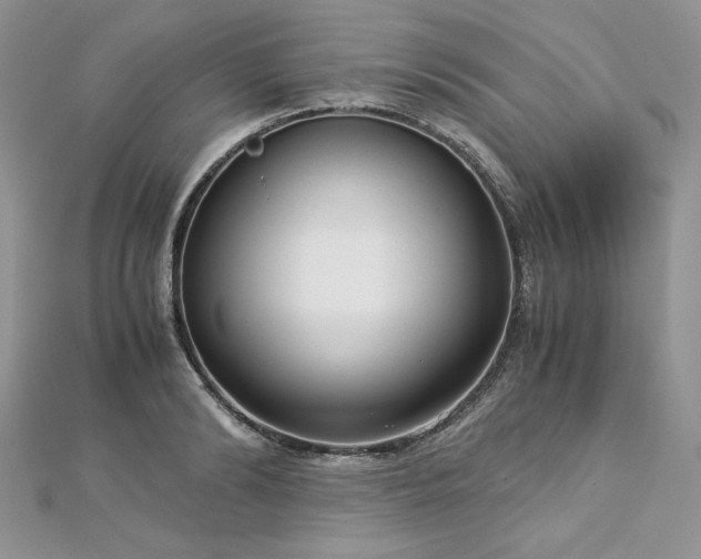 X0000113140894200909041206
