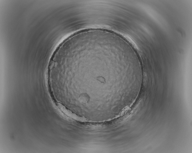 X0000113140895200909041206