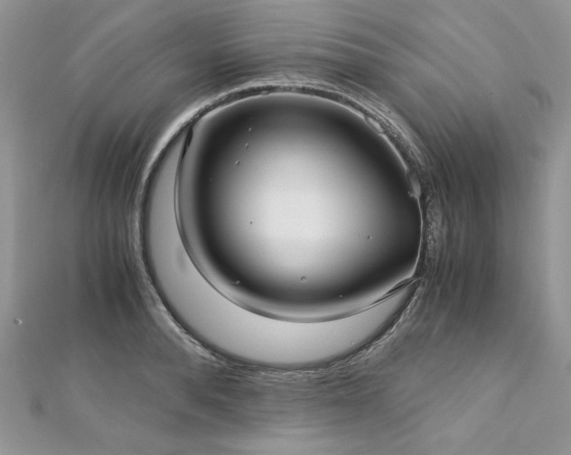X0000113140896200909041206