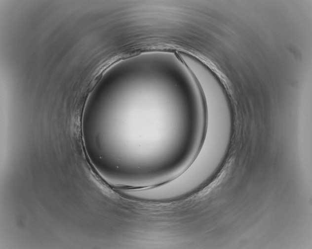 X0000113140897200909041206