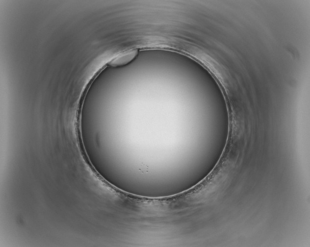 X0000113140901200909041206