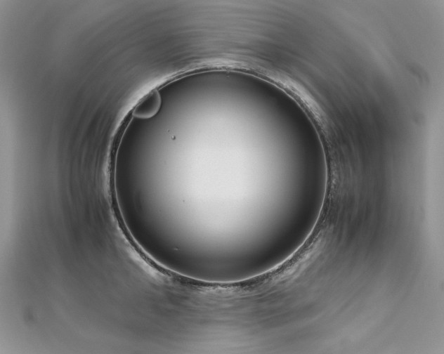 X0000113140902200909041206