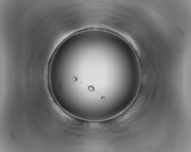 X0000113140903200909041206