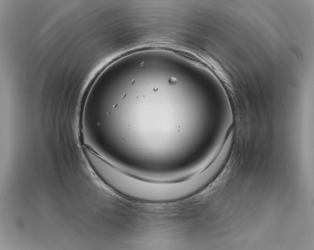 X0000113140904200909041206