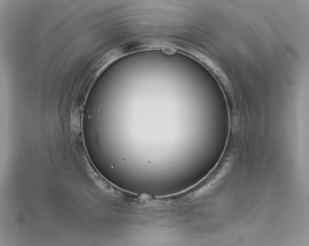 X0000113140905200909041206