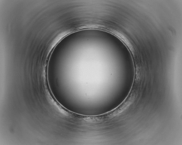 X0000113140906200909041206