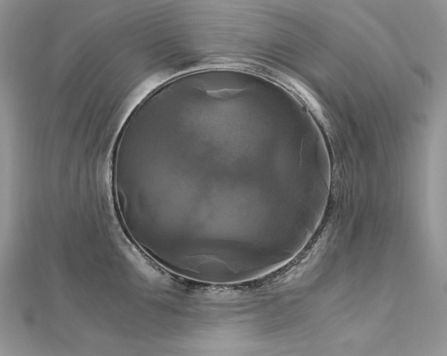 X0000113140907200909041206
