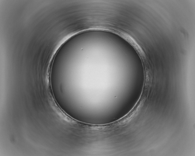 X0000113140908200909041206