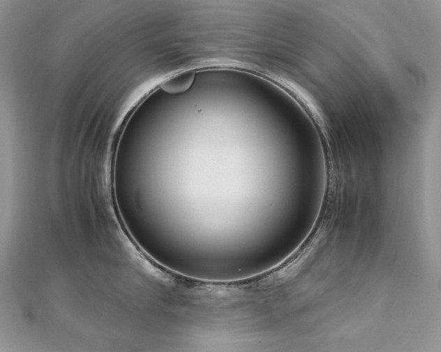 X0000113140910200909041206