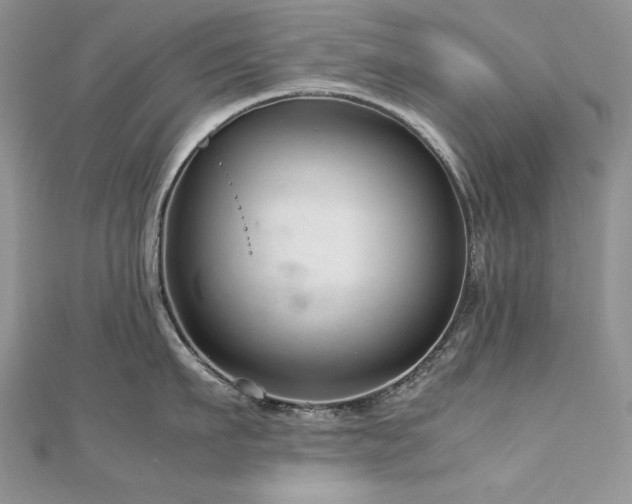 X0000113140911200909041206