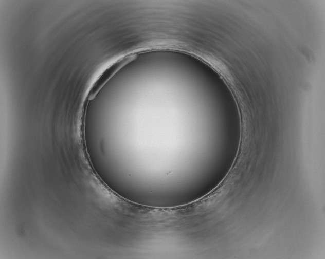 X0000113140912200909041206