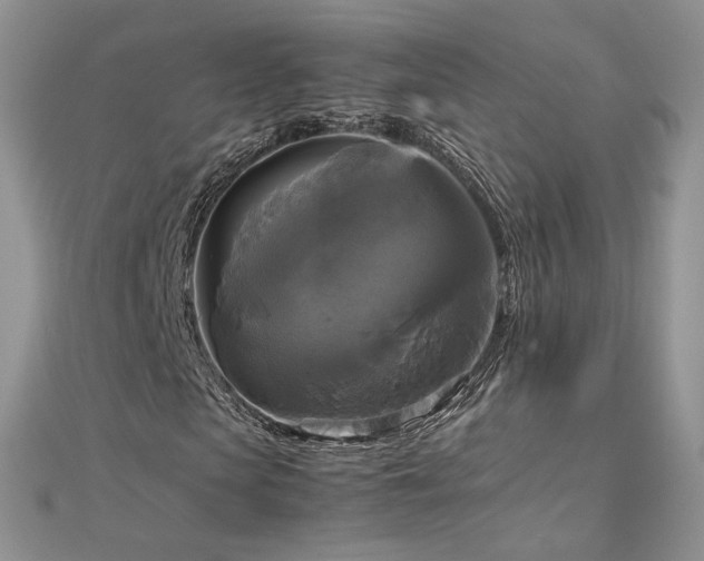 X0000113140913200909041205