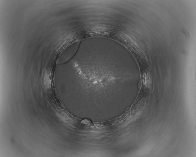 X0000113140915200909041205
