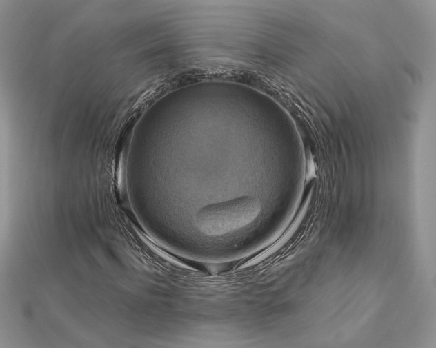 X0000113140916200909041205