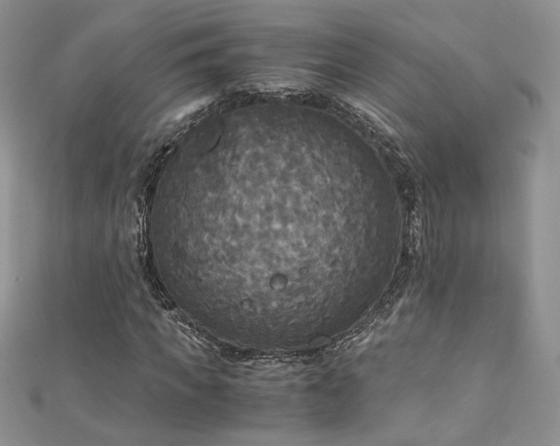 X0000113140917200909041205