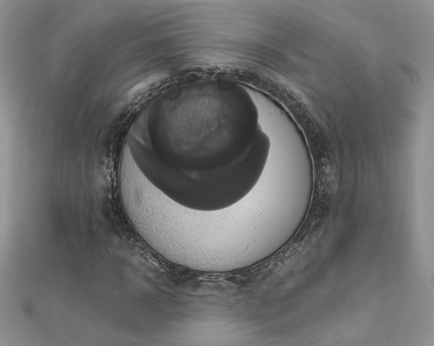 X0000113140918200909041205