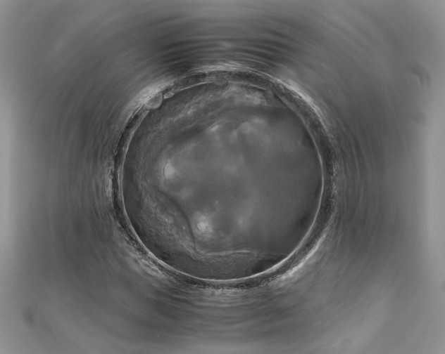 X0000113140921200909041205