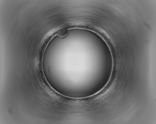 X0000113140922200909041206