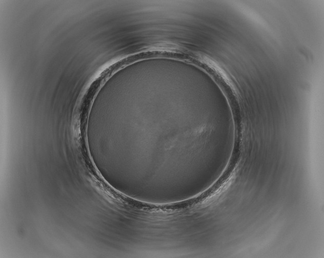 X0000113140923200909041206