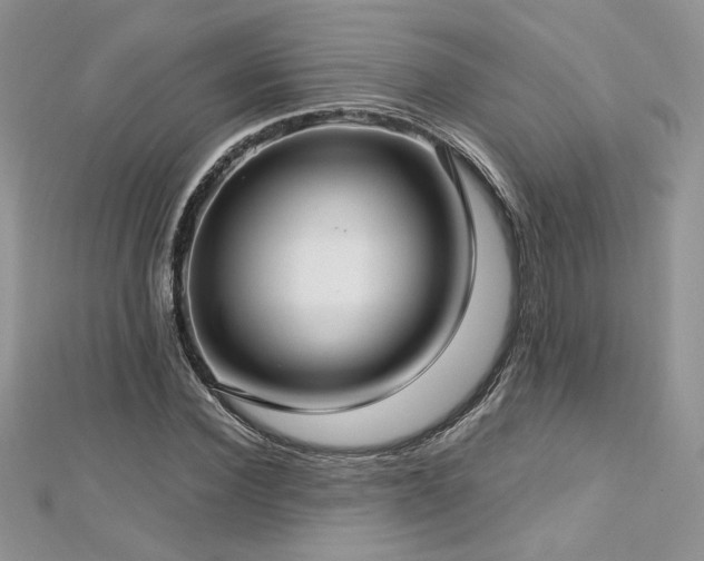 X0000113140924200909041206