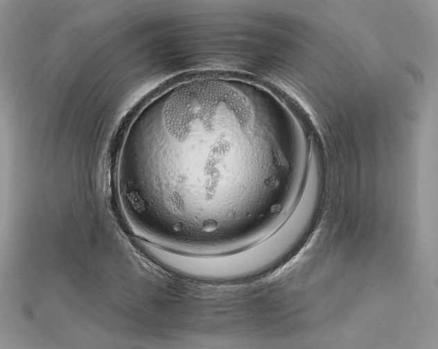 X0000113140925200909041206