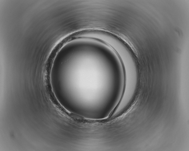 X0000113140926200909041206