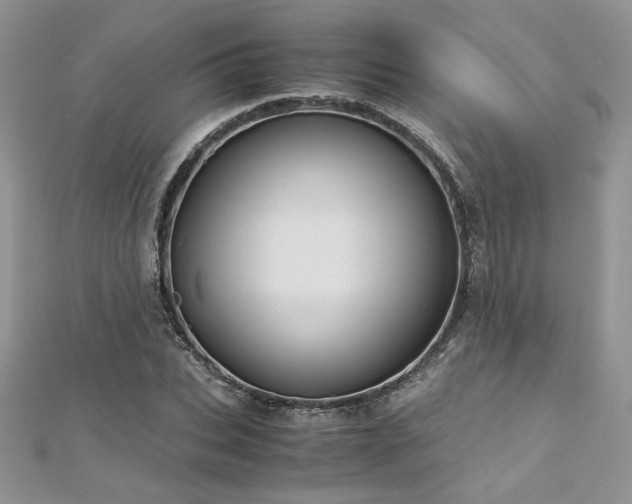 X0000113140927200909041206