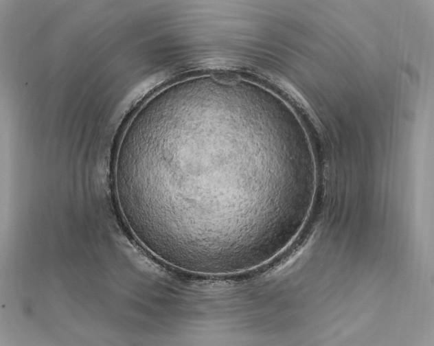 X0000113140930200909041206