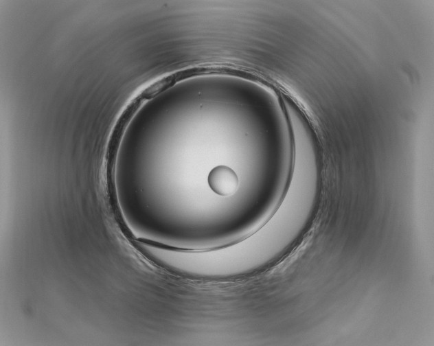 X0000113140932200909041206