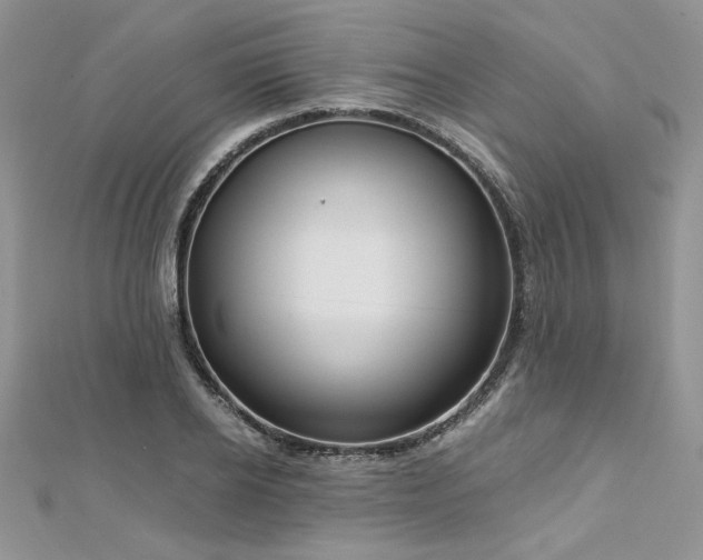 X0000113140934200909041206