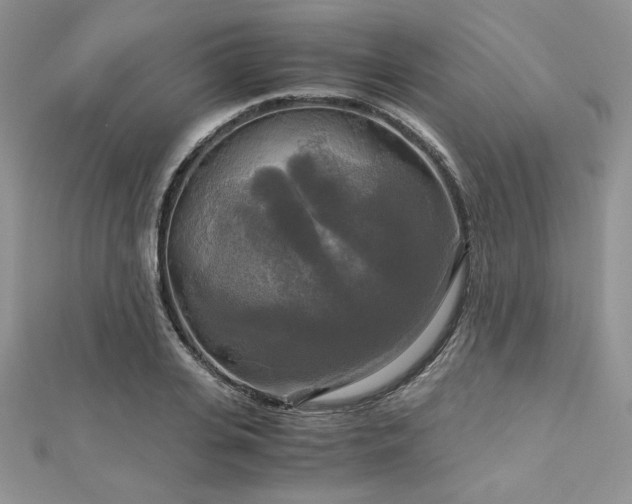 X0000113140935200909041206