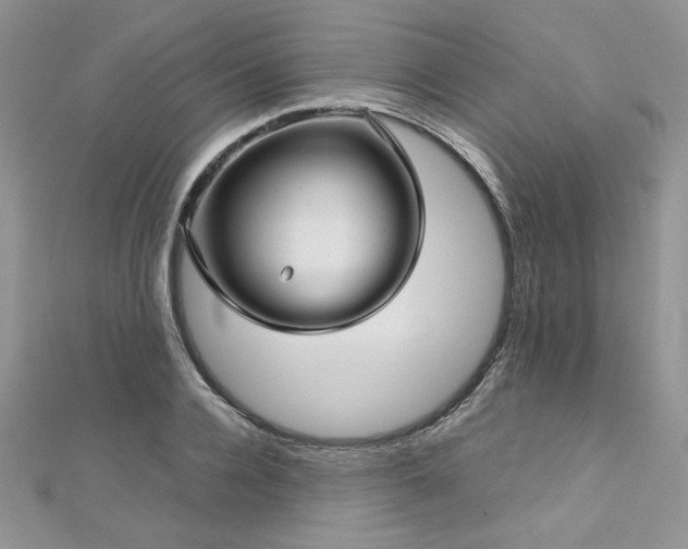 X0000113140936200909041206