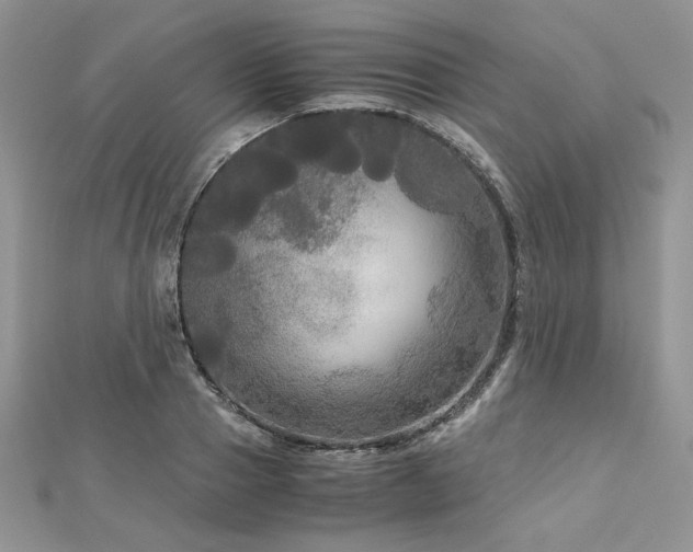 X0000113140937200909041206