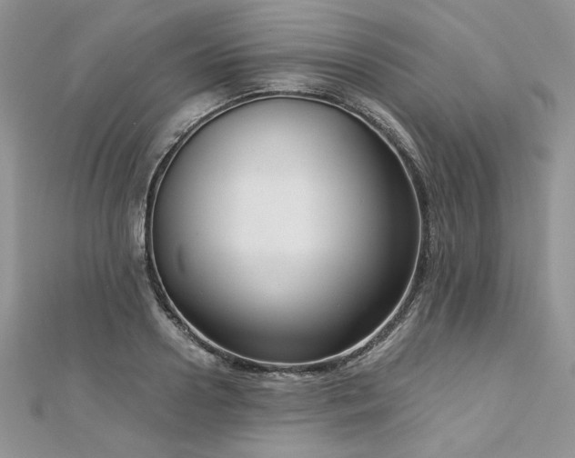 X0000113140938200909041206