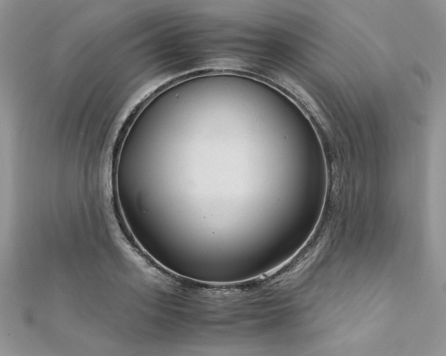 X0000113140939200909041206
