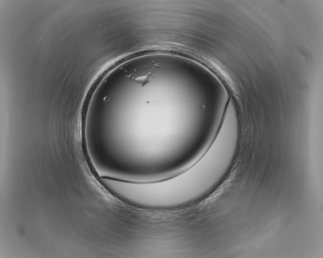 X0000113140940200909041206