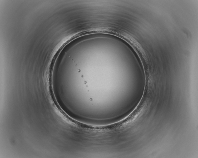 X0000113140941200909041206