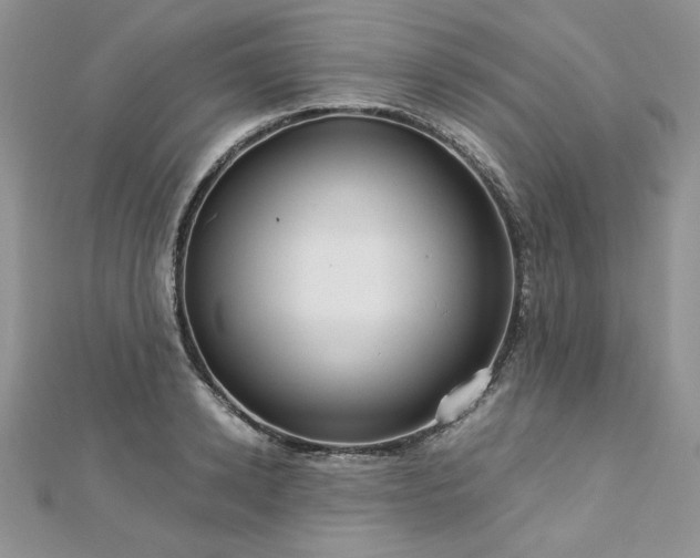 X0000113140942200909041206