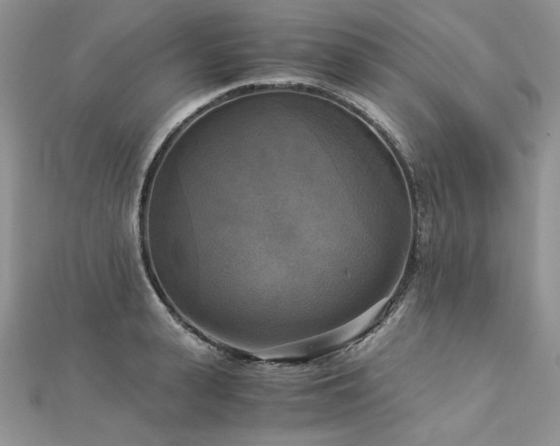 X0000113140943200909041206