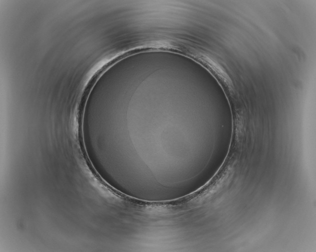 X0000113140944200909041206