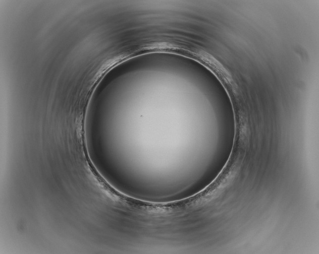 X0000113140945200909041206