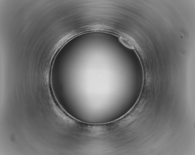 X0000113140946200909041206