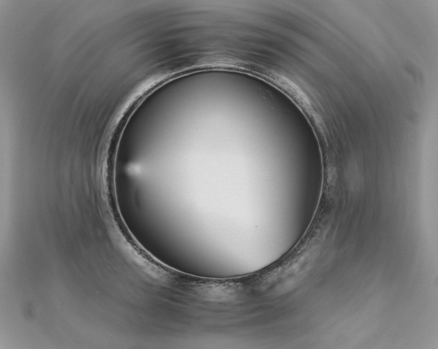 X0000113140947200909041206