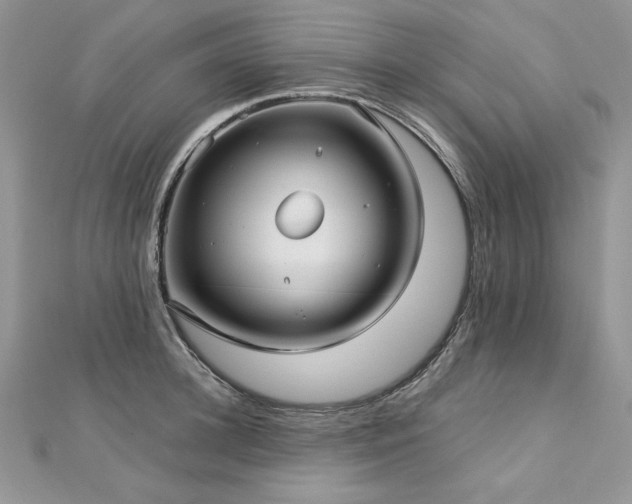 X0000113140948200909041206