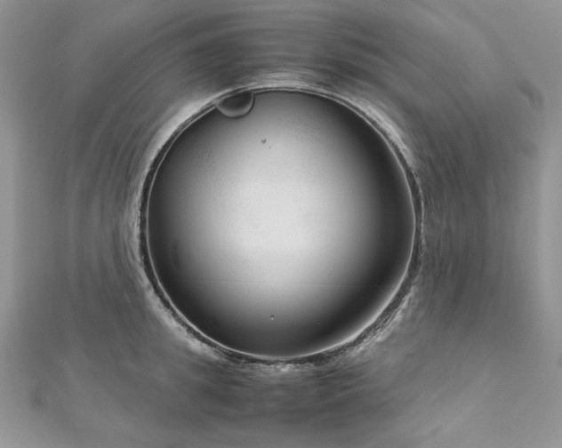 X0000113140949200909041206
