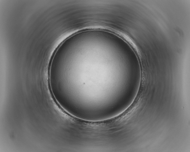 X0000113140951200909041206
